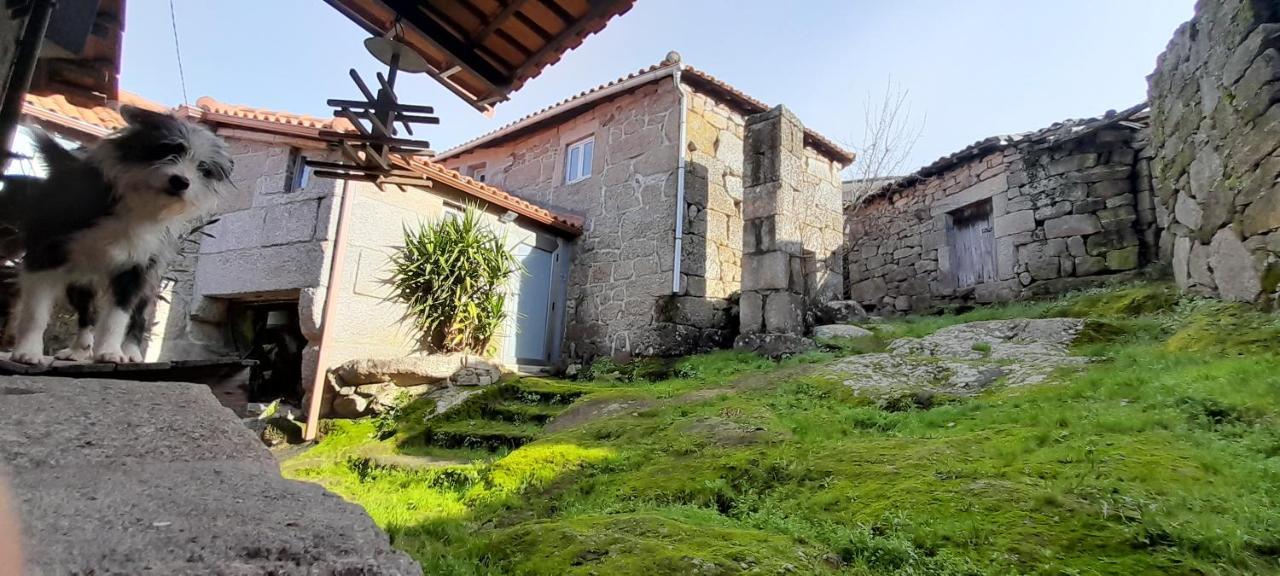 Casa Padre Manuel Do Couto Villa Vila Pouca de Aguiar Dış mekan fotoğraf