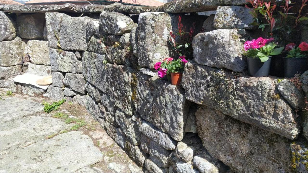 Casa Padre Manuel Do Couto Villa Vila Pouca de Aguiar Dış mekan fotoğraf