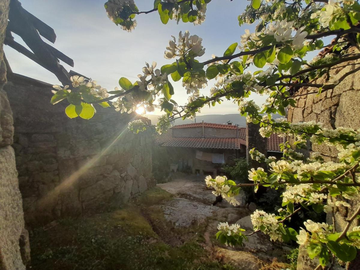 Casa Padre Manuel Do Couto Villa Vila Pouca de Aguiar Dış mekan fotoğraf